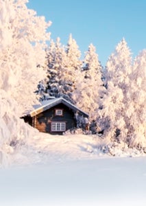 vinterhytte i skogkanten