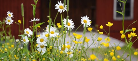 Vortex 230 volt vakuumtoalett