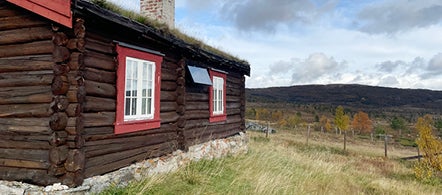 Solcellepanel hytte