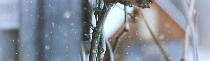 kvist i husvegg lett snø