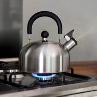 Plystrekjele Whistle 1,8 liter