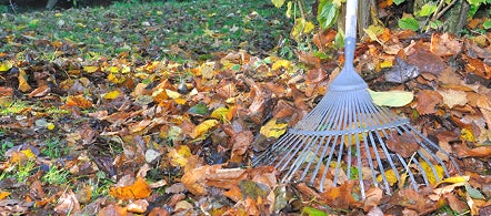 Kompostbeholder og bioavfall