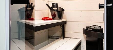 Elektrisk badstuovn Delta